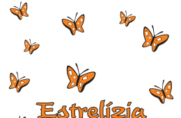 Estrelizia